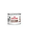 Royal Canin Recovery Hund Und Katze 12 X 195 G Recovery Dosen -Hills Verkaufsgeschäft 0FKRQ8ovTE60 9003579307717 86 1