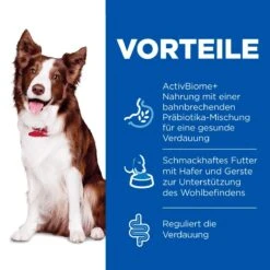 Hills Science Plan Canine Perfect Digestion Adult Medium Trockenfutter Für Hunde 14 Kg Huhn & Reis Trockenfutter -Hills Verkaufsgeschäft 1MbqEigY9Tip 52742044156 3