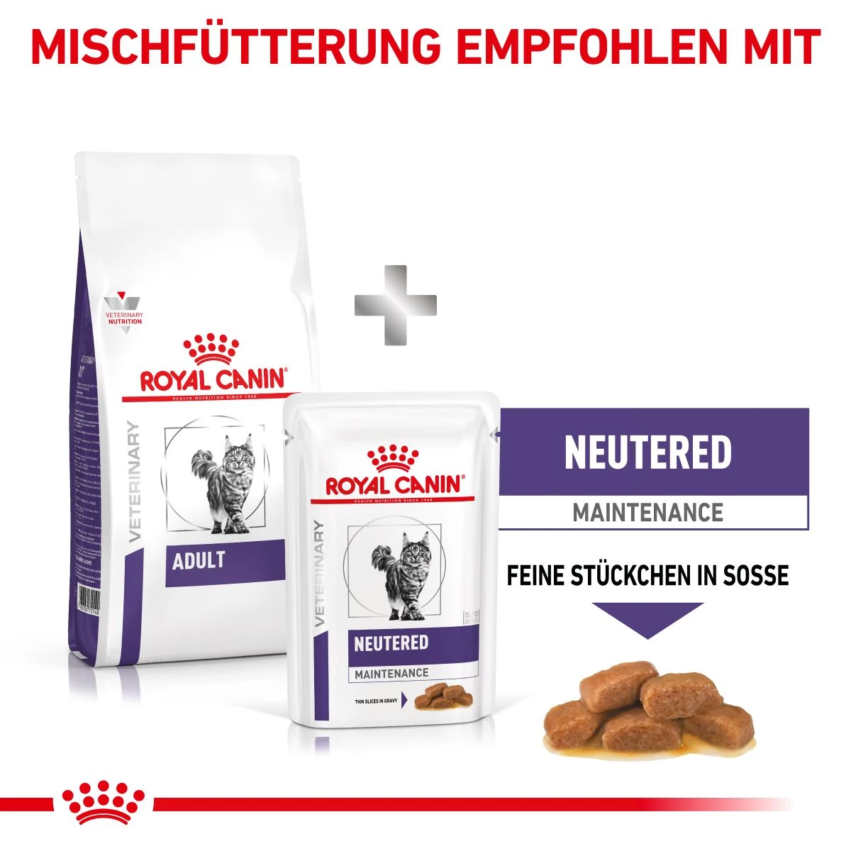 Royal Canin Adult Trockenfutter Für Katzen 2 Kg Trockenfutter Für Katzen 10 Royal Canin Adult Trockenfutter Für Katzen 2 Kg Trockenfutter Für Katzen – Bild 8