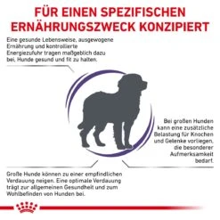 Royal Canin Adult Large Dogs Trockenfutter Für Hunde 13 Kg Trockenfutter Für Hunde -Hills Verkaufsgeschäft 2GaLpfWhS75z 3182550925105 6587 3