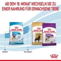 Royal Canin Giant Junior Welpenfutter Für Sehr Große Hunde 15 Kg Trockenfutter Für Hunde -Hills Verkaufsgeschäft 2zHWgrNRQRhE 3182550707077 3085 6