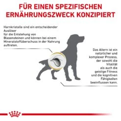 Royal Canin Urinary S/O AGEING 7+ Hundefutter 1,5 Kg Trockenfutter Für Hunde -Hills Verkaufsgeschäft 3sLlHHD0rRbJ 3182550896863 6332 8