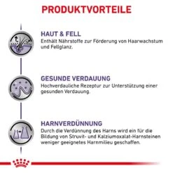 Royal Canin Dog Adult Frischebeutel Für Hunde 12 X 100 G Frischebeutel Für Hunde -Hills Verkaufsgeschäft 44xOohpIr8Zi 9003579015445 4041 3
