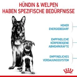 Royal Canin Maxi Starter Trockenfutter 15 Kg Trockenfutter Für Hunde -Hills Verkaufsgeschäft 4XgyrCFkx0o4 3182550778787 2525 3