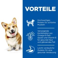 Hills Science Plan Canine Hund Adult Small & Mini Trockenfutter 6 Kg Trockenfutter Für Hunde 7 Hills Science Plan Canine Hund Adult Small & Mini Trockenfutter 6 Kg Trockenfutter Für Hunde -Hills Verkaufsgeschäft 4xhksq7T5cjb 52742024769 3