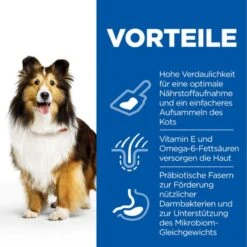 Hills Science Plan Canine Adult Sensitive Stomach & Skin Mit Huhn Trockenfutter 14 Kg Trockenfutter -Hills Verkaufsgeschäft 51gEYtZGHHXc 52742026091 3