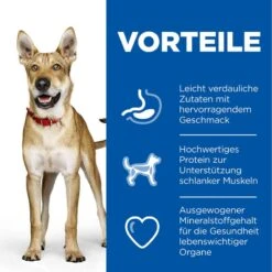 Hills Science Plan Canine Adult Performance Huhn Trockenfutter Für Hunde 14 Kg Trockenfutter -Hills Verkaufsgeschäft 56YNreDWxr4Y 52742026114 3