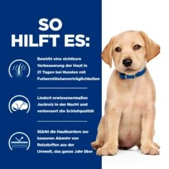 Hills Hils Prescription Diet Derm Complete Puppy Mit Reis Und Ei Trockenfutter Für Hunde 1,5 Kg Trockenfutter 11 Hills Hils Prescription Diet Derm Complete Puppy Mit Reis Und Ei Trockenfutter Für Hunde 1,5 Kg Trockenfutter -Hills Verkaufsgeschäft 59hyEfoFRfL3 52742060354 4