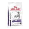 Royal Canin Dental Medium & Large Dogs Trockenfutter Für Hunde 6 Kg Trockenfutter Für Hunde -Hills Verkaufsgeschäft 6WprbZTXCGYs 3182550925310 328 1