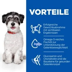 Hills Science Plan Perfect Weight + Active Mobility Small & Mini Adult Trockenfutter 6 Kg Trockenfutter Für Hunde -Hills Verkaufsgeschäft 76MEJ32CLOYJ 52742052465 3