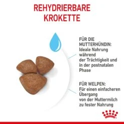 Royal Canin Mini Starter Trockenfutter 4 Kg Trockenfutter 17 Royal Canin Mini Starter Trockenfutter 4 Kg Trockenfutter -Hills Verkaufsgeschäft 7CbokL7nJ8fJ 3182550932707 2504 5