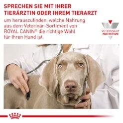 Royal Canin Urinary U/C Hundefutter 2 Kg Trockenfutter Für Hunde -Hills Verkaufsgeschäft 834fsL3LatzA 3182550748315 479 7