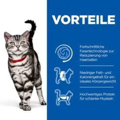 Hills Science Plan Feline Adult Hairball Indoor Trockenfutter Mit Huhn 10 Kg Trockenfutter Für Katzen 8 Hills Science Plan Feline Adult Hairball Indoor Trockenfutter Mit Huhn 10 Kg Trockenfutter Für Katzen -Hills Verkaufsgeschäft AHrEAqujw1wD 52742024172 3