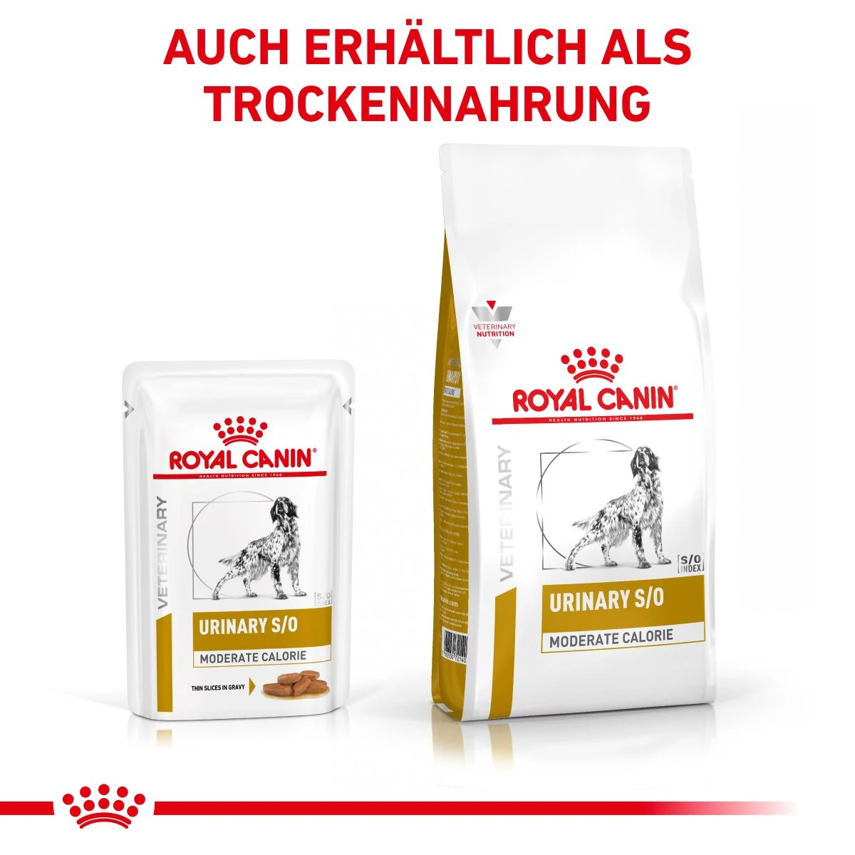 Royal Canin Urinary S/O Moderate Calorie Hund Frischebeutel 12 X 100 G Frischebeutel Für Hunde 8 Royal Canin Urinary S/O Moderate Calorie Hund Frischebeutel 12 X 100 G Frischebeutel Für Hunde – Bild 6