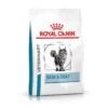 Royal Canin Skin & Coat Trockenfutter Für Katzen 1,5 Kg Trockenfutter Für Katzen -Hills Verkaufsgeschäft BzUEBTv8BRm5 3182550939188 5493 1