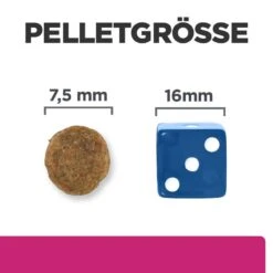 Hills Prescription Diet Canine Gastrointestinal Biome Mini Trockenfutter Für Hunde 1 Kg Trockenfutter Für Hunde -Hills Verkaufsgeschäft CdG2hUTE5je9 52742047416 5