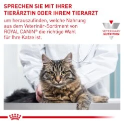 Royal Canin Adult Trockenfutter Für Katzen 2 Kg Trockenfutter Für Katzen 20 Royal Canin Adult Trockenfutter Für Katzen 2 Kg Trockenfutter Für Katzen -Hills Verkaufsgeschäft CeGuuNLnIVG2 3182550799690 6238 10