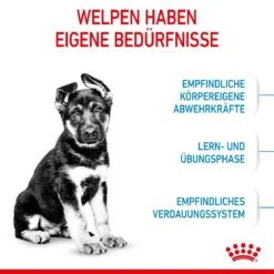 Royal Canin Maxi Puppy Für Welpen Großer Rassen 4 Kg Trockenfutter Für Hunde -Hills Verkaufsgeschäft DCuXITVIJ5kZ 3182550402163 3005 3