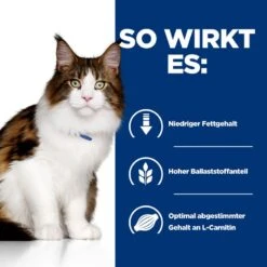 Hills Feline W/d Multi-Benefit Dosenfutter Für Katzen 24 X 156 G Feingehackt - Huhn In Dosen -Hills Verkaufsgeschäft DMpwt0szaWZ7 52742945507 3