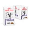 Royal Canin Mature Consult Katze Frischebeutel 12 X 85 G Frischebeutel Für Katzen 1 Royal Canin Mature Consult Katze Frischebeutel 12 X 85 G Frischebeutel Für Katzen -Hills Verkaufsgeschäft DSLWxuYXbwc7 9003579015681 4035 2