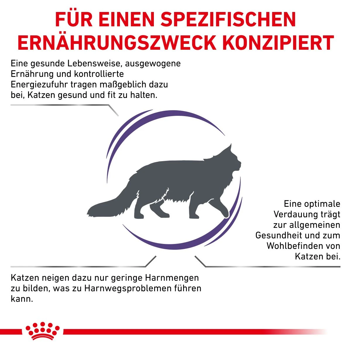 Royal Canin Adult Trockenfutter Für Katzen 2 Kg Trockenfutter Für Katzen 5 Royal Canin Adult Trockenfutter Für Katzen 2 Kg Trockenfutter Für Katzen – Bild 3