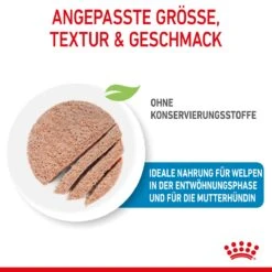 Royal Canin Starter Ultra Soft Mousse Für Welpen 12 X 195 G -Hills Verkaufsgeschäft DzSABroMWOqm 9003579020036 4300 3