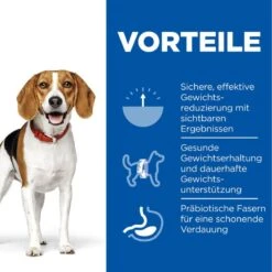 Hills Science Plan Canine Adult Perfect Weight Ragout Dosenfutter 12 X 363 G Ragout Mit Huhn Und Gemüse -Hills Verkaufsgeschäft GXzQczlU0GKe 52742364308 3