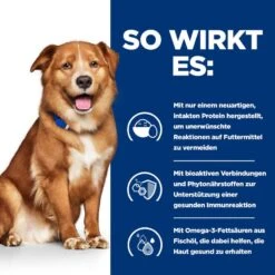 Hills Prescription Diet Canine Derm Complete Trockenfutter Für Hunde 1,5 Kg Trockenfutter -Hills Verkaufsgeschäft HE4V4wGjDwYa 52742045580 3