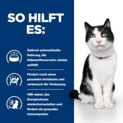 Hills I/d Mit ActivBiome+ Große Dosen Für Katzen 24x156 G Huhn ActivBiome+ -Hills Verkaufsgeschäft Hn4ZQd0QRn0W 52742039916 4