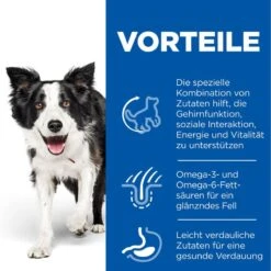 Hills Science Plan Canine Senior Vitality Medium Mature Adult 7+ Trockenfutter Mit Huhn & Reis 14 Kgr Trockenfutter Mit Huhn & Reis -Hills Verkaufsgeschäft Hz7sn5qSlYa9 52742026107 3