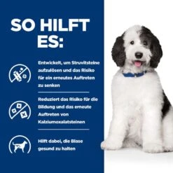 Hills Urinary Care C/d Multicare Trockenfutter Für Hunde 1,5 Kg Trockenfutter Für Hunde 10 Hills Urinary Care C/d Multicare Trockenfutter Für Hunde 1,5 Kg Trockenfutter Für Hunde -Hills Verkaufsgeschäft IAJMsAlwJ8mc 52742052144 4