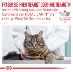 Royal Canin Skin & Coat Frischebeutel Für Katzen 12 X 85 G Frischebeutel Für Katzen 12 Royal Canin Skin & Coat Frischebeutel Für Katzen 12 X 85 G Frischebeutel Für Katzen -Hills Verkaufsgeschäft IZ3CPsEZcnvW 9003579011522 44 3