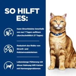 Hills Feline C/d Multicare Lachs Frischebeutel Für Katzen 12 X 85 G Lachs Frischebeutel 12 Hills Feline C/d Multicare Lachs Frischebeutel Für Katzen 12 X 85 G Lachs Frischebeutel -Hills Verkaufsgeschäft J8I1esqgcDOd 52742188218 4