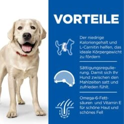 Hills Science Plan Canine Light Adult Large Breed Mit Huhn Trockenfutter 14 Kg Trockenfutter 7 Hills Science Plan Canine Light Adult Large Breed Mit Huhn Trockenfutter 14 Kg Trockenfutter -Hills Verkaufsgeschäft LKnwbeDWS4bt 52742025902 3