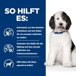 Hills Urinary Care C/d Multicare Ragout In Dosen Für Hunde 12 X 354 G Dosenfutter Für Hunde -Hills Verkaufsgeschäft LcjiTmbYQo0n 52742021324 4