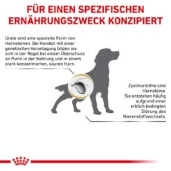 Royal Canin Urinary U/C Hundefutter 2 Kg Trockenfutter Für Hunde -Hills Verkaufsgeschäft Lvwktdpxa8qu 3182550748315 479 8
