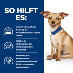 Hills I/d Stress Mini ActivBiome+ Ragout In Dosen Für Hunde 24 X 156 G Ragout In Dosen Für Hunde -Hills Verkaufsgeschäft M4WBdhEtav6p 52742039336 4