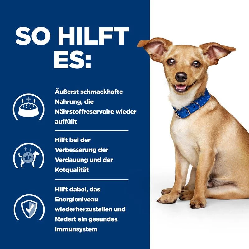 Hills I/d Ragout In Kleinen Dosen Für Hunde 24 X 156 G Dosenfutter Ragout Für Hunde 4 Hills I/d Ragout In Kleinen Dosen Für Hunde 24 X 156 G Dosenfutter Ragout Für Hunde – Bild 2
