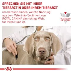 Royal Canin Gastrointestinal Low Fat Trockenfutter Für Hunde 1,5 Kg Trockenfutter Für Hunde -Hills Verkaufsgeschäft N7m1RFOny856 3182550771177 919 9