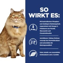 Hills K/d + Mobility Trockenfutter Für Katzen 1,5 Kg Trockenfutter Für Katzen -Hills Verkaufsgeschäft NyzqGCUHVVlG 52742049991 4