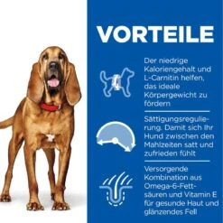 Hills Science Plan Canine Light Mature Adult 7+ Medium Mit Huhn Trockenfutter 14 Kg Trockenfutter -Hills Verkaufsgeschäft PnyWpteWO0ul 52742026169 3