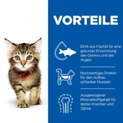 Hills Science Plan Kitten Trockenfutter 1,5 Kg Trockenfutter -Hills Verkaufsgeschäft PqmNgHbLe665 52742023649 3