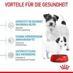 Royal Canin Mini Starter Trockenfutter 4 Kg Trockenfutter 16 Royal Canin Mini Starter Trockenfutter 4 Kg Trockenfutter -Hills Verkaufsgeschäft R0BwgXOmGP0f 3182550932707 2504 4