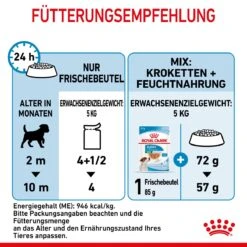 Royal Canin Mini Puppy Frischebeutel 12 X 85 G Frischebeutel Für Hunde -Hills Verkaufsgeschäft RrwZagYOTp6L 9003579008201 4701 7
