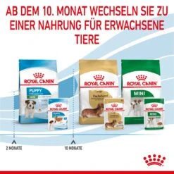 Royal Canin Mini Puppy Frischebeutel 12 X 85 G Frischebeutel Für Hunde -Hills Verkaufsgeschäft S3Pn6KJg0Ad2 9003579008201 4701 8