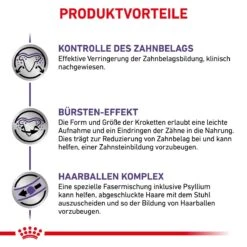 Royal Canin Dental Trockenfutter Für Katzen 1,5 Kg Trockenfutter Für Katzen -Hills Verkaufsgeschäft SAL0xJe7izPr 3182550783927 172 5
