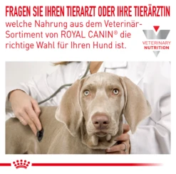 Royal Canin Hypoallergenic Moderate Calorie Trockenfutter Für Hunde 1,5 Kg Trockenfutter Für Hunde -Hills Verkaufsgeschäft SCdlUkFvPK0A 3182550940306 468 3