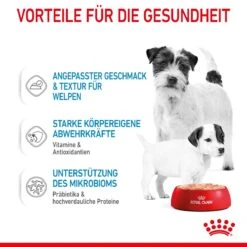 Royal Canin Starter Ultra Soft Mousse Für Welpen 12 X 195 G -Hills Verkaufsgeschäft Smn5EA4AZdCE 9003579020036 4300 4