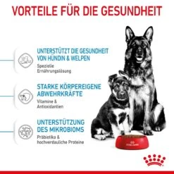 Royal Canin Maxi Starter Trockenfutter 15 Kg Trockenfutter Für Hunde -Hills Verkaufsgeschäft TwyghNpPvGUl 3182550778787 2525 4
