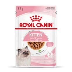 Royal Canin Kitten Second Age Für Kätzchen Bis Zum 12. Monat 12 X 85 G In Soße Frischebeutel -Hills Verkaufsgeschäft TwzlIf7AQgTc 9003579308745 4501 Packshot